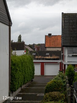 20250925_172841.jpg
