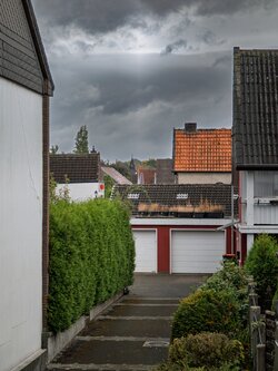 20250925_172813.jpg
