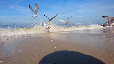 DSC_0906.JPG