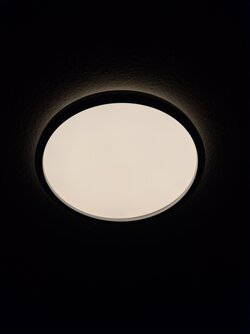 1000099246.jpg