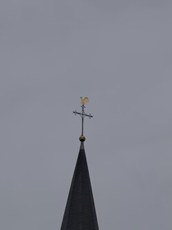 IMG_20250921_154131.jpg