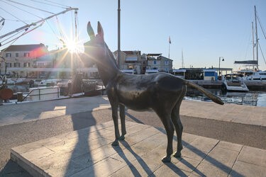 IMG_20250919_073334_HDR_P3.jpg