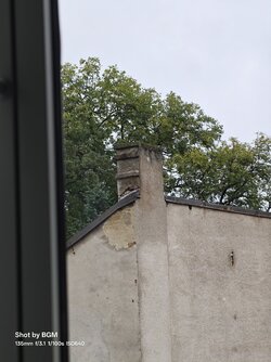 1000001478.jpg
