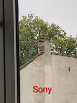 1000061412.jpg