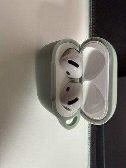 IMG_5470.jpeg