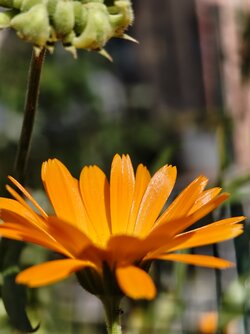 IMG_20250926_141905680.jpg