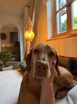 IMG_0433.jpeg IMG_0433.jpeg