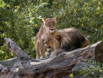 IMG20250927115323 (2).jpg