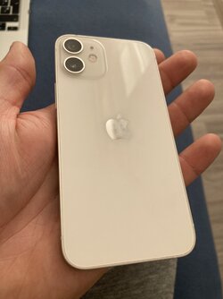 IMG_0005.jpeg