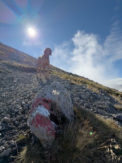 IMG_0483.jpg