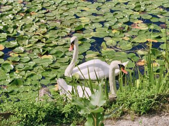 Letzte-Bilder-35.jpg Letzte-Bilder-35.jpg