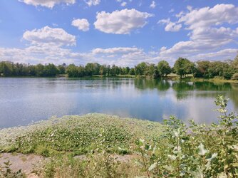 Letzte-Bilder-34.jpg Letzte-Bilder-34.jpg