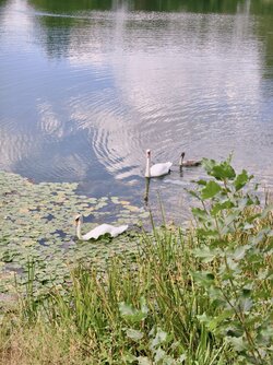 Letzte-Bilder-33.jpg Letzte-Bilder-33.jpg