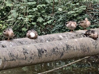 Letzte-Bilder-13.jpg Letzte-Bilder-13.jpg