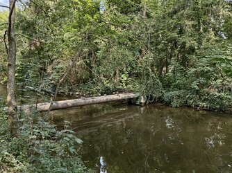 Letzte-Bilder-12.jpg Letzte-Bilder-12.jpg