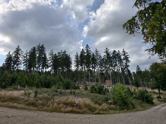 Letzte-Bilder-07.jpg Letzte-Bilder-07.jpg