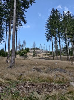 Letzte-Bilder-05.jpg Letzte-Bilder-05.jpg