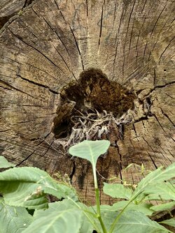 Letzte-Bilder-03.jpg Letzte-Bilder-03.jpg