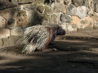 IMG20250927105442 (1).jpg