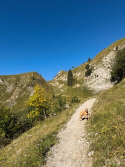 IMG_0461_LuminarNeo-edit.jpg