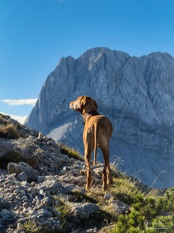IMG_0473_LuminarNeo-edit.jpg