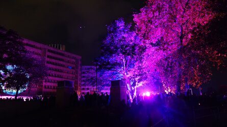 20250927_201531813.JPG
