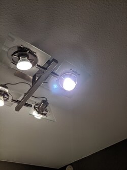 IMG_20250928_093717.jpg