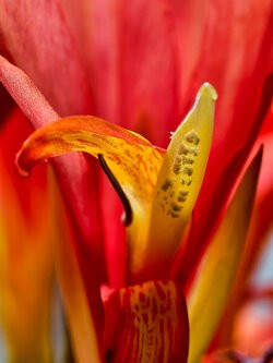 IMG_20250927_092435.jpg