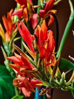 IMG_20250928_100744.jpg