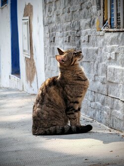 IMG_20250408_171135.jpg