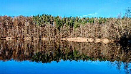 IMG_20241226_130243~3.jpg