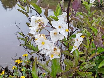 V2_IMG_20250928_102846.jpg