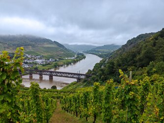 V2_IMG_20250928_104948.jpg
