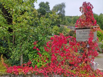 V2_IMG_20250928_105205.jpg