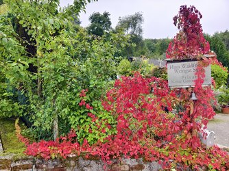 X100P_IMG_20250928_105142.jpg