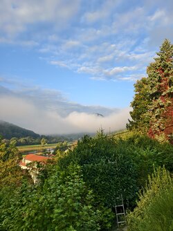 IMG_20250928_080849.jpg