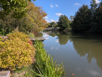 PXL_20250928_122925424.jpg