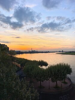 IMG_20250928_191344 (1) (1).jpg