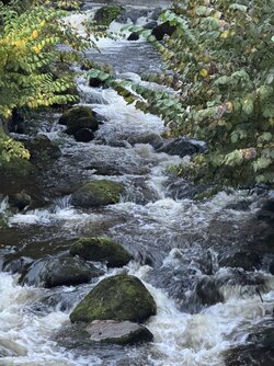 IMG_7070 2.jpeg