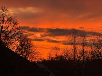 IMG_3941 2.jpeg