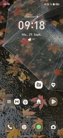Screenshot_20250929_091853_com_hihonor_android_launcher_DrawerLauncher.jpg