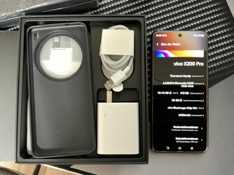 vivo1.jpeg