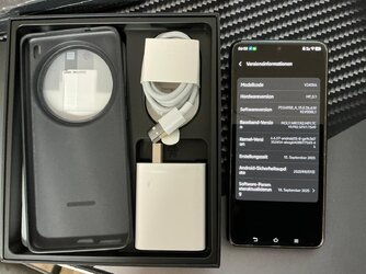 vivo2.jpeg