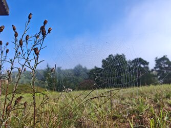 IMG_20250919_094443.jpg
