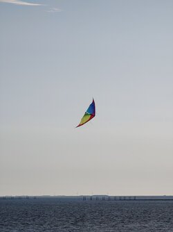 20250929_095531137.JPG