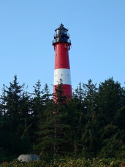20250929_095654936.JPG