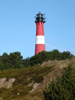 20250929_100041214.JPG