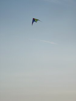 20250929_095312133.JPG