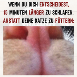 Quotes-Creator-com.ist_.quotescreator-1759055596362-scaled.png