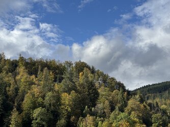IMG_7007.jpeg